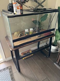 Reptile enclosure