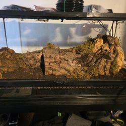 Terrarium Zoo Med Dart Frogs / Reptiles 