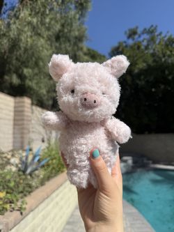 Little Pig Jelly Cat