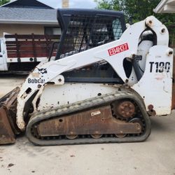 Bobcat 