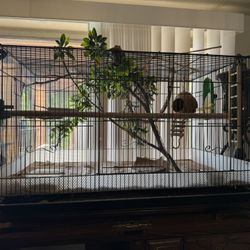 Bird Cage