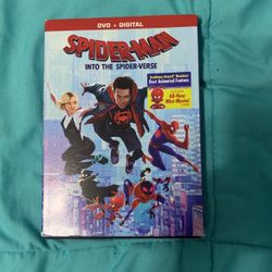 Spiderman into the universe