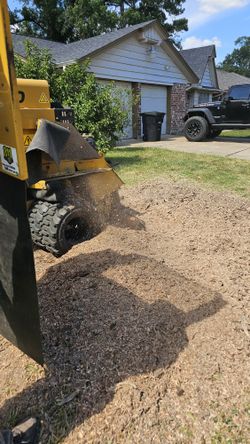 Stump Grinding 