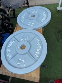 2 45lb Cap plates