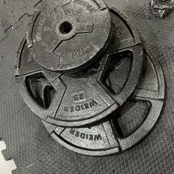 Weight Plates And Bar