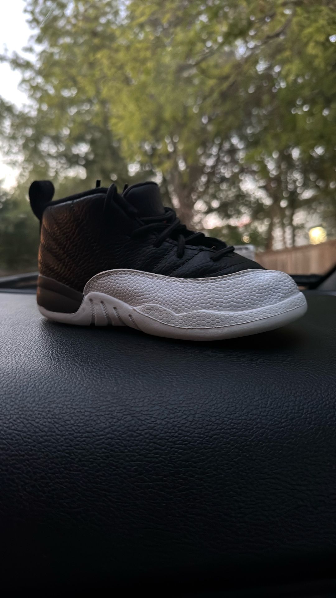 Jordan 12s