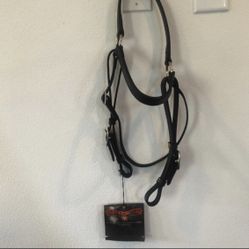 Circle Y Browband Headstall NEW    nylon headstall 3/4 browband #0114-1818