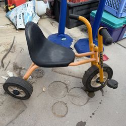 Lakeshore Tricycle