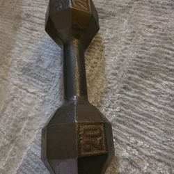20 Lb Pound Dumbbell Gym Workout