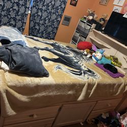 Full Size Storage Bed with Headboard – Excellent Condition