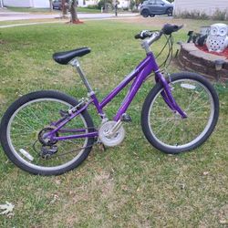 24" Schwinn Bike