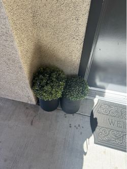 Fake plants