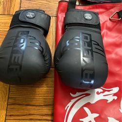 Boxing bag and gloves