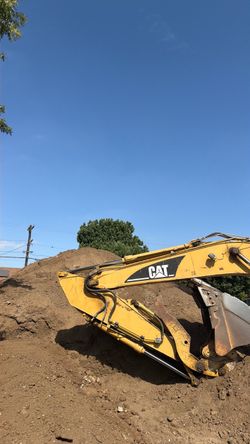 Free, backfill