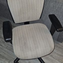 Ergonomic Lumbar Support Office Chair on Wheels