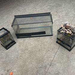Reptile Tanks 