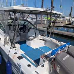 23' Sea Ray  Laguna
