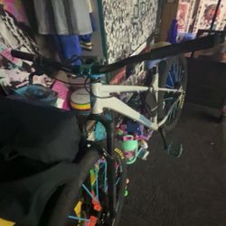 27.5 diamondback 