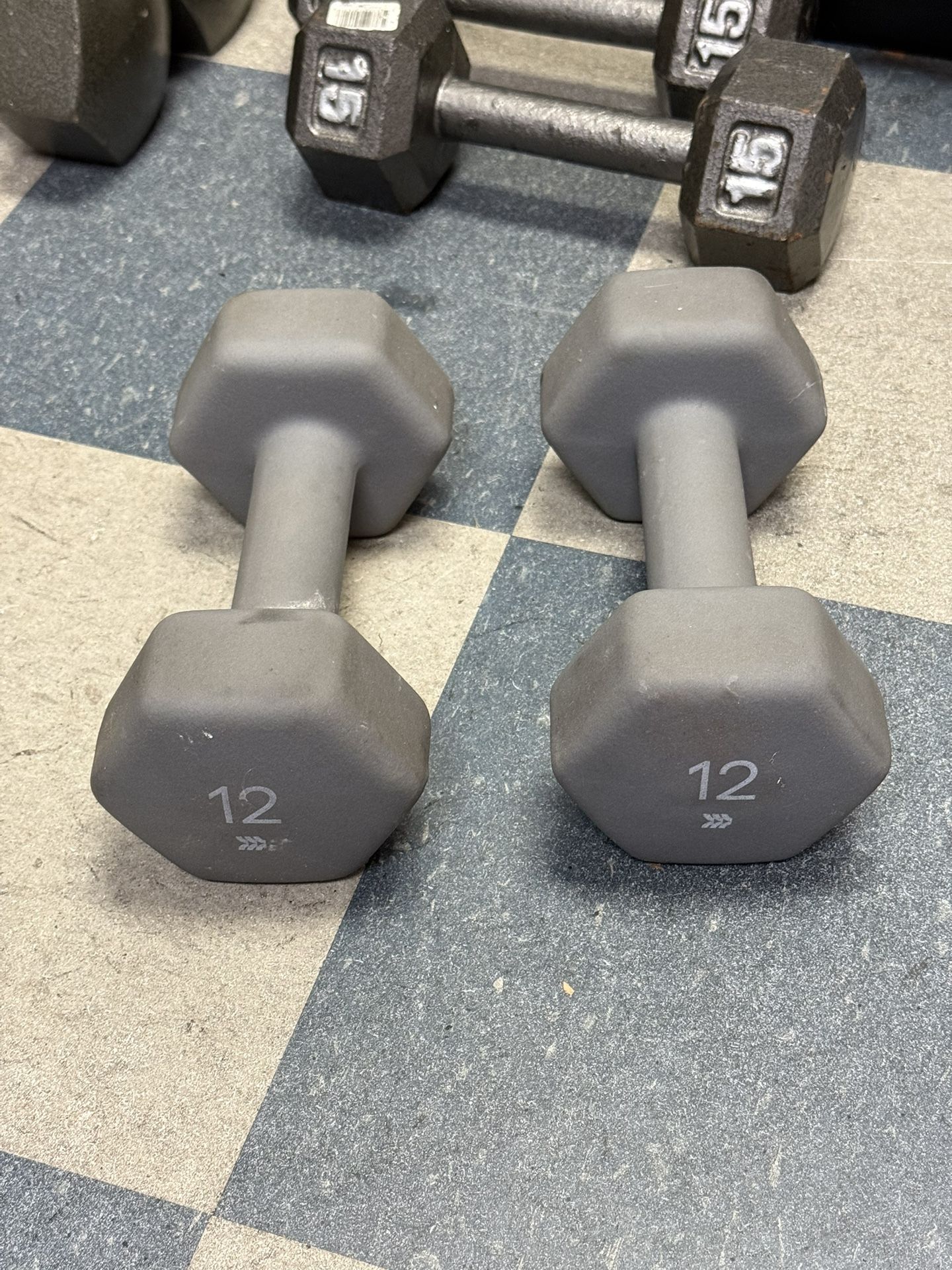 Dumbbells Pair 12lbs