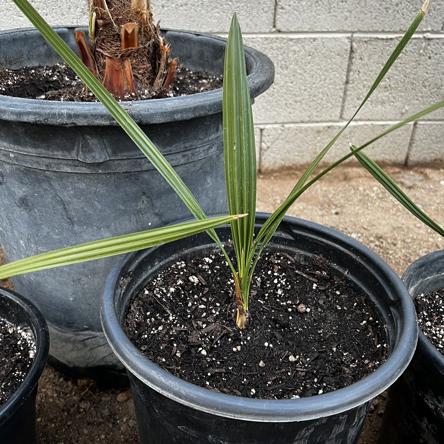 c694b03cc728473db886b30e7006f4