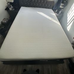 Bear Queen Hybrid Memory Foam Mattress.