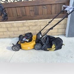 Dewalt 2-in-1 Gas Self Propelled Walk Behind Lawn Mower 