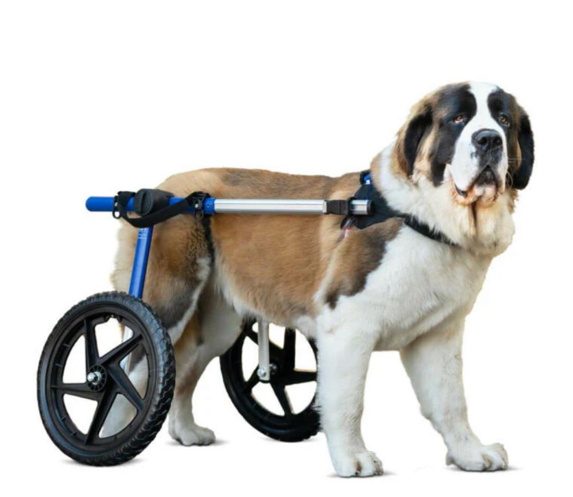 Walkin' Wheels Large Dog Wheelchair