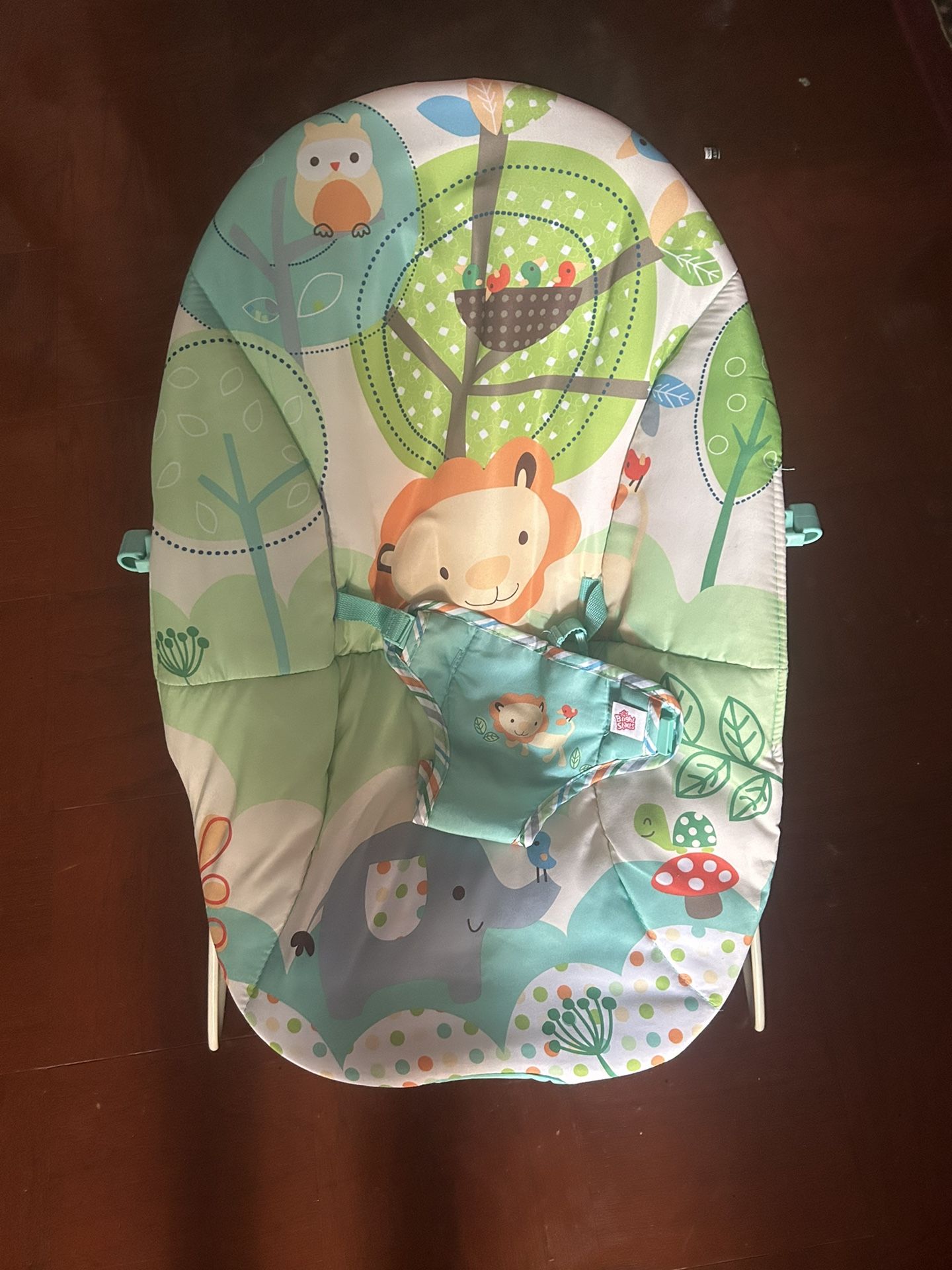 Fisher Price Bouncer