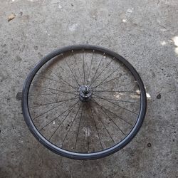 55 Fixie Bike Rims 