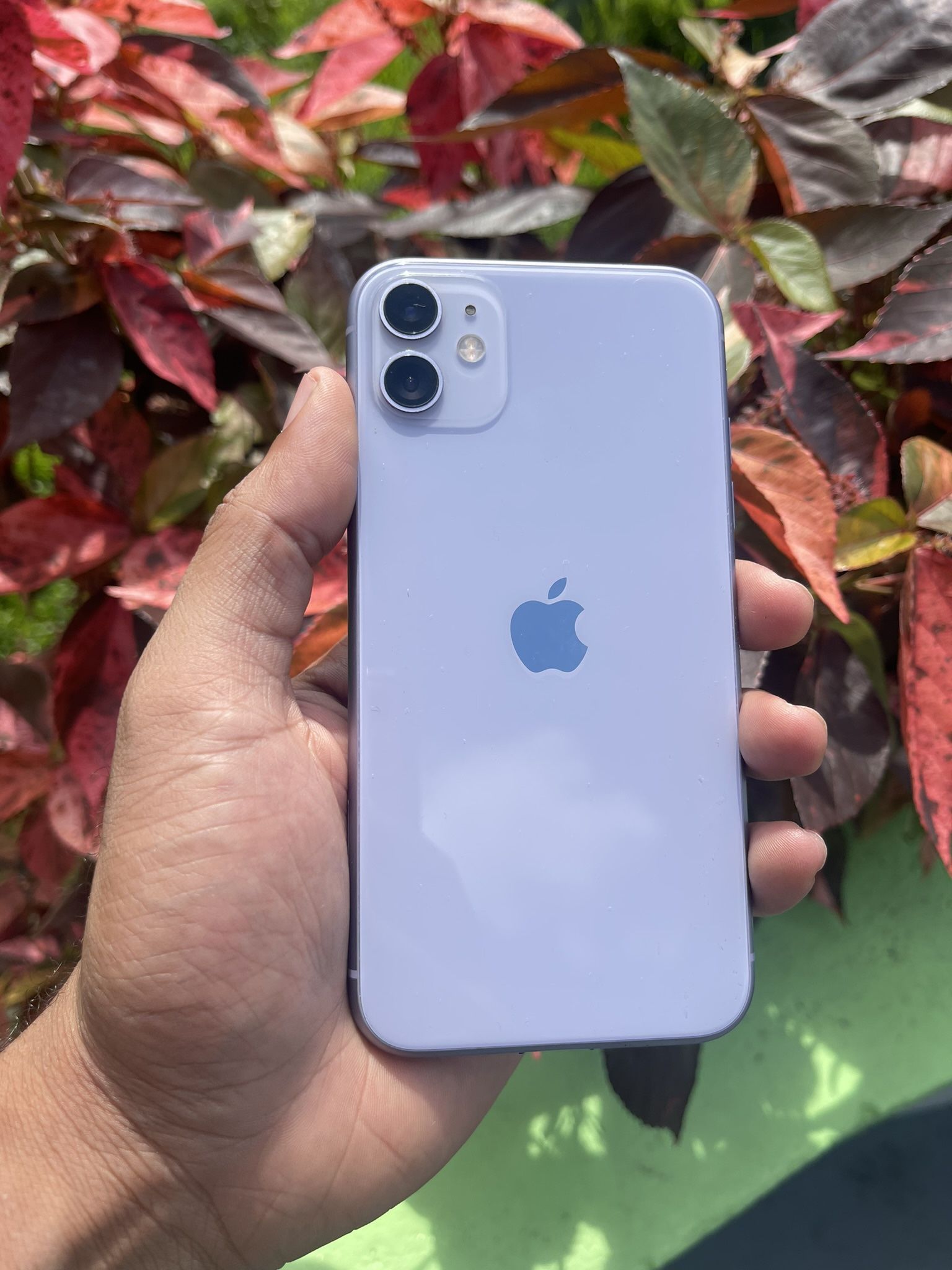 UNLOCKED IPHONE 11 / DEAL OF THE DAY 🚨