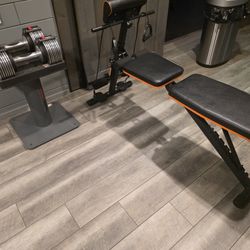 Weider Ajustable Wieghts And Bench  With Stand
