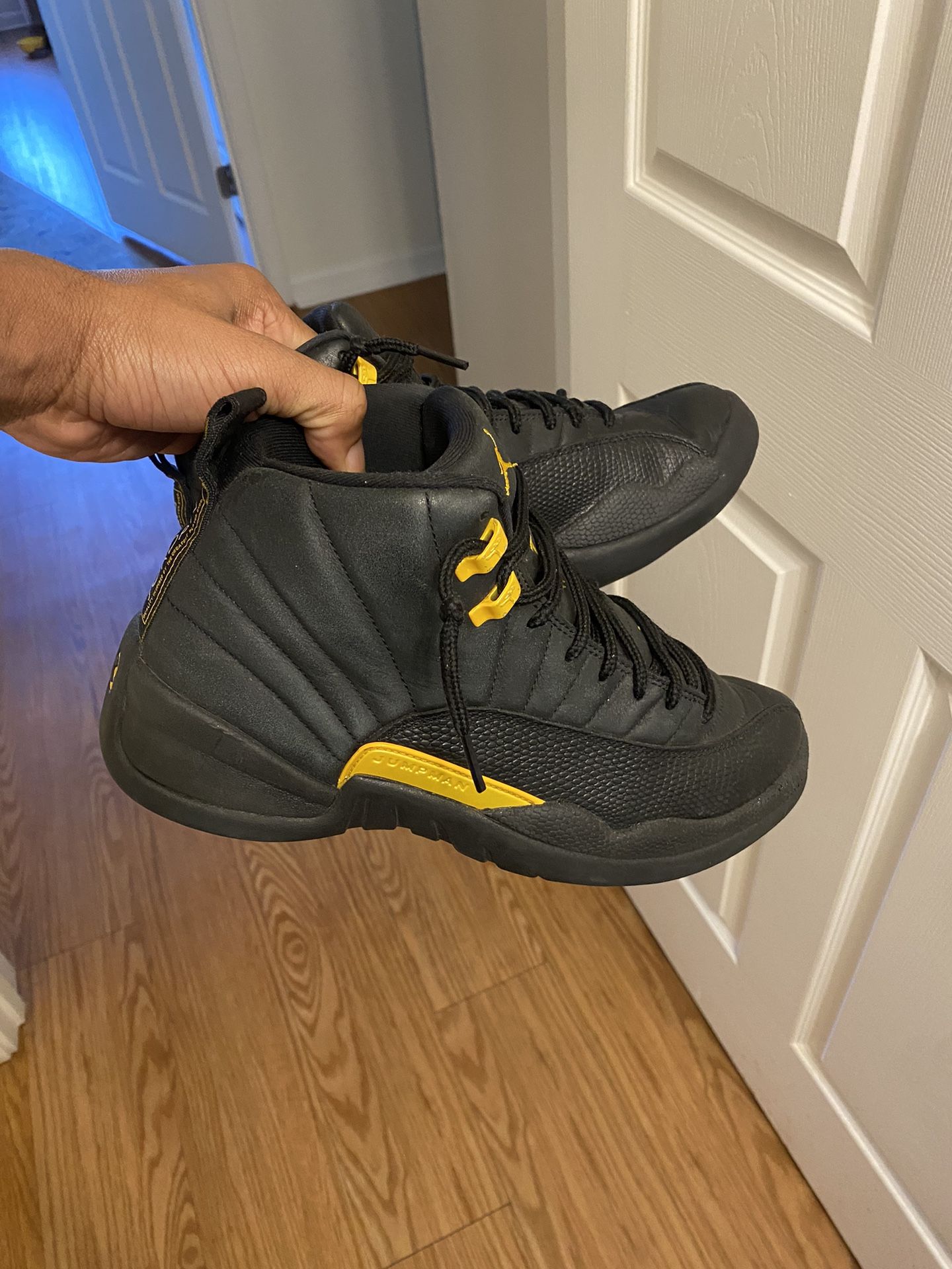 Air Jordan 12s Michigans 