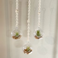 Macrame Terrarium Hanger/Christmas Gifts