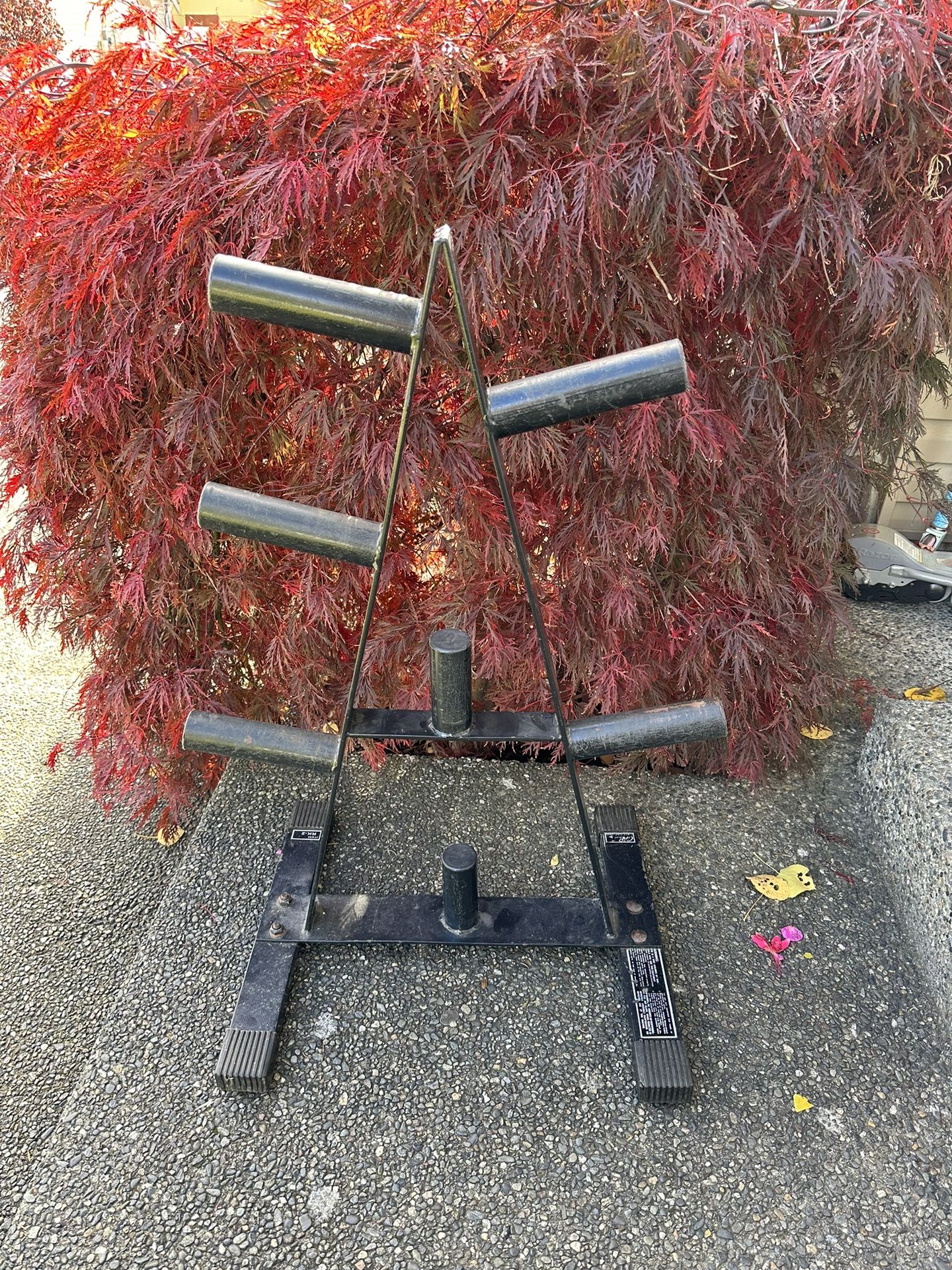 Olympic Tree Rack 