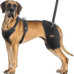 XXL Dog Hip Brace Hind Leg Support Harness Arthritis Dysplasia Recovery Aid