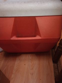 Igloo coolers