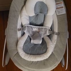 Ingenuity Baby Bouncer 