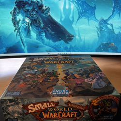 Small World : World Of Warcraft 