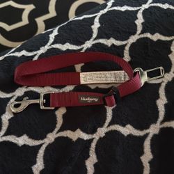 Dog Car Seat Lock Down Collar