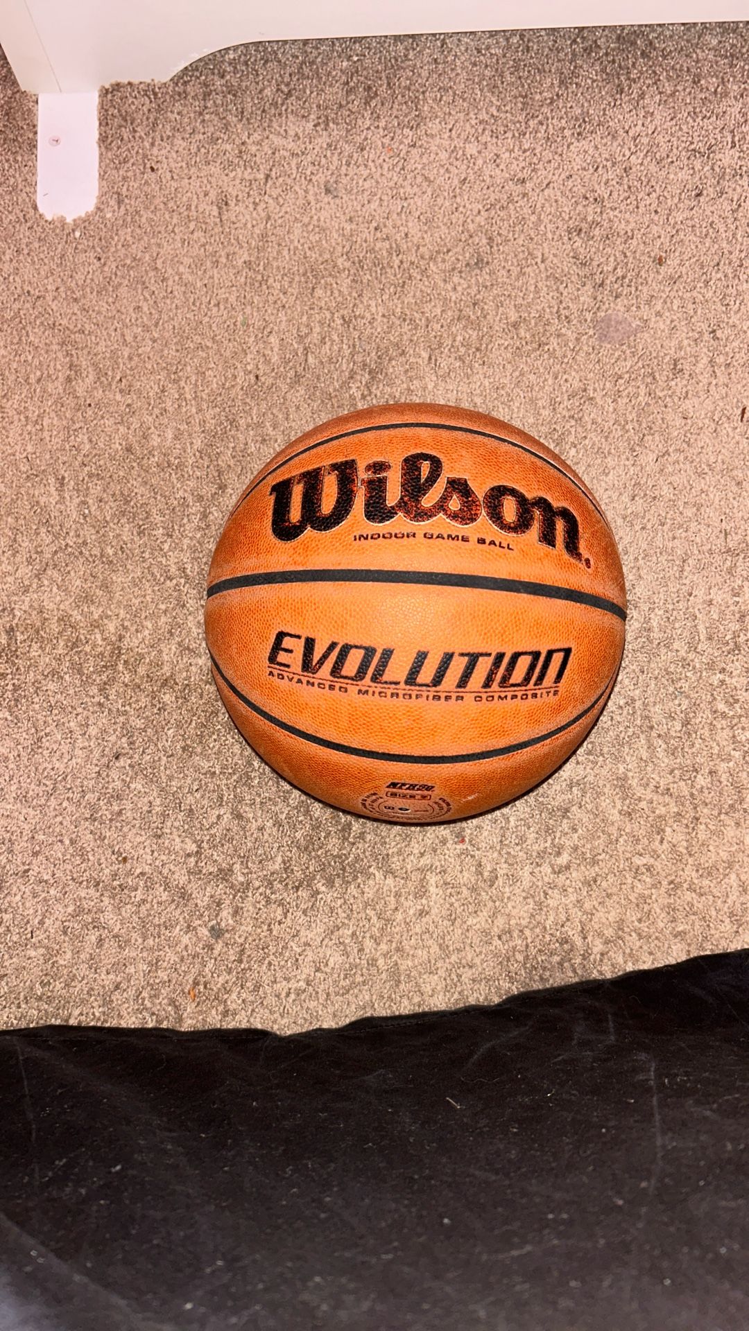 evolution basketball