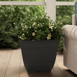 17.5-IN PLASTIC SQR PLNTR BLACK