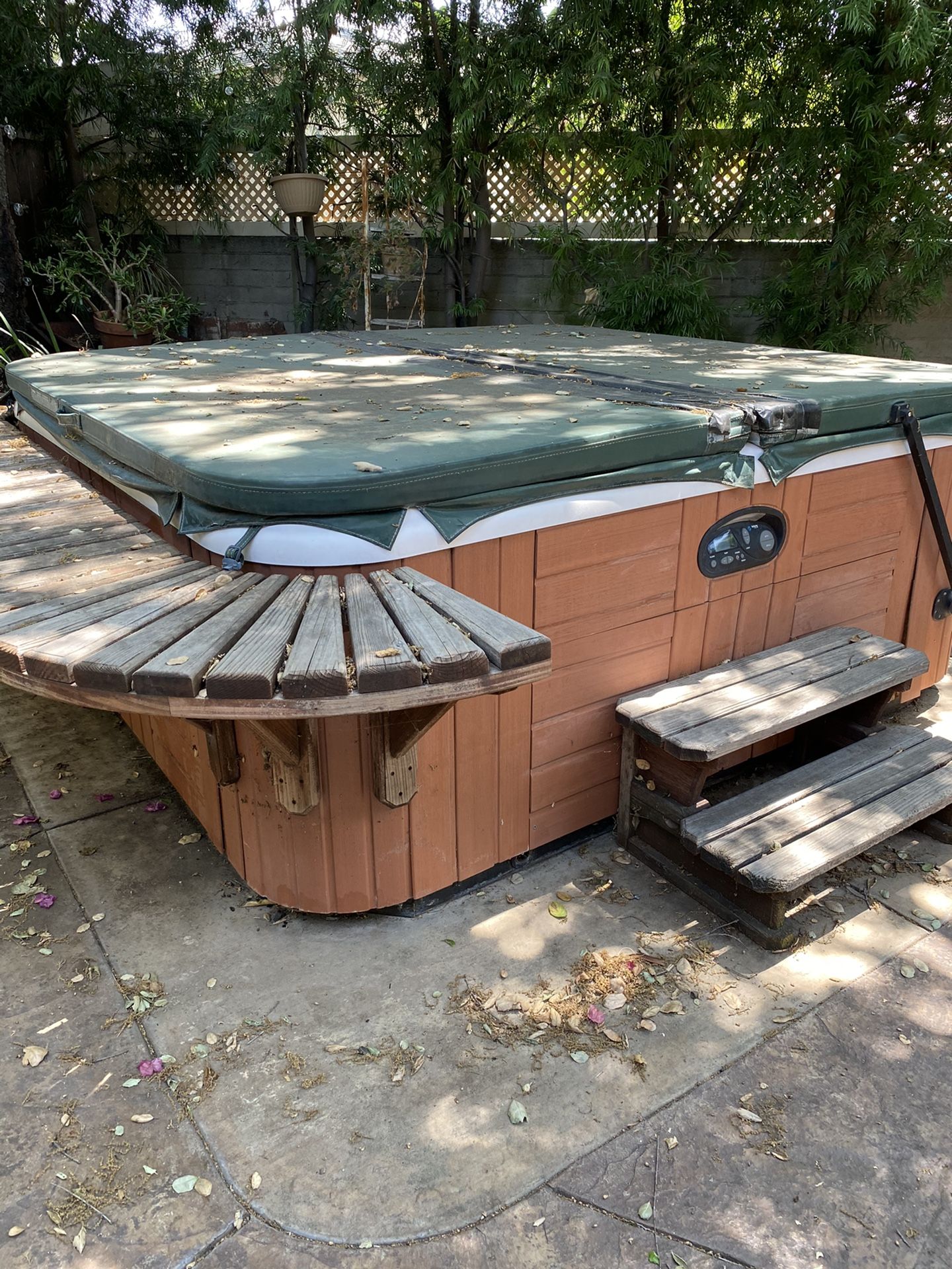 Hot tub spa jacuzzi