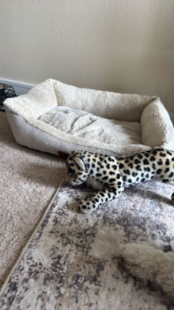 Dog bed- small