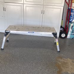 Werner Platform Ladder 