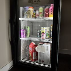 Mini Fridge 