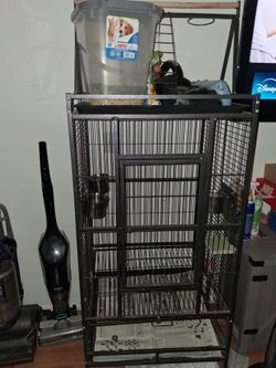 Large, clean bird cage