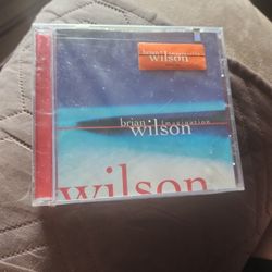 Brian Wilson Imagination