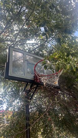 Portable Basketball Hoop with Backboard