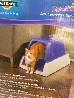 self- cleaning litter