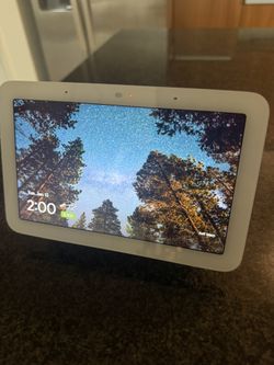 Google Nest Hub Smart Display